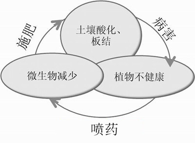 化肥不等于科學(xué)，請(qǐng)客觀評(píng)判！